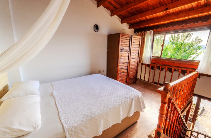 Numberone Star Oda – Nr:1